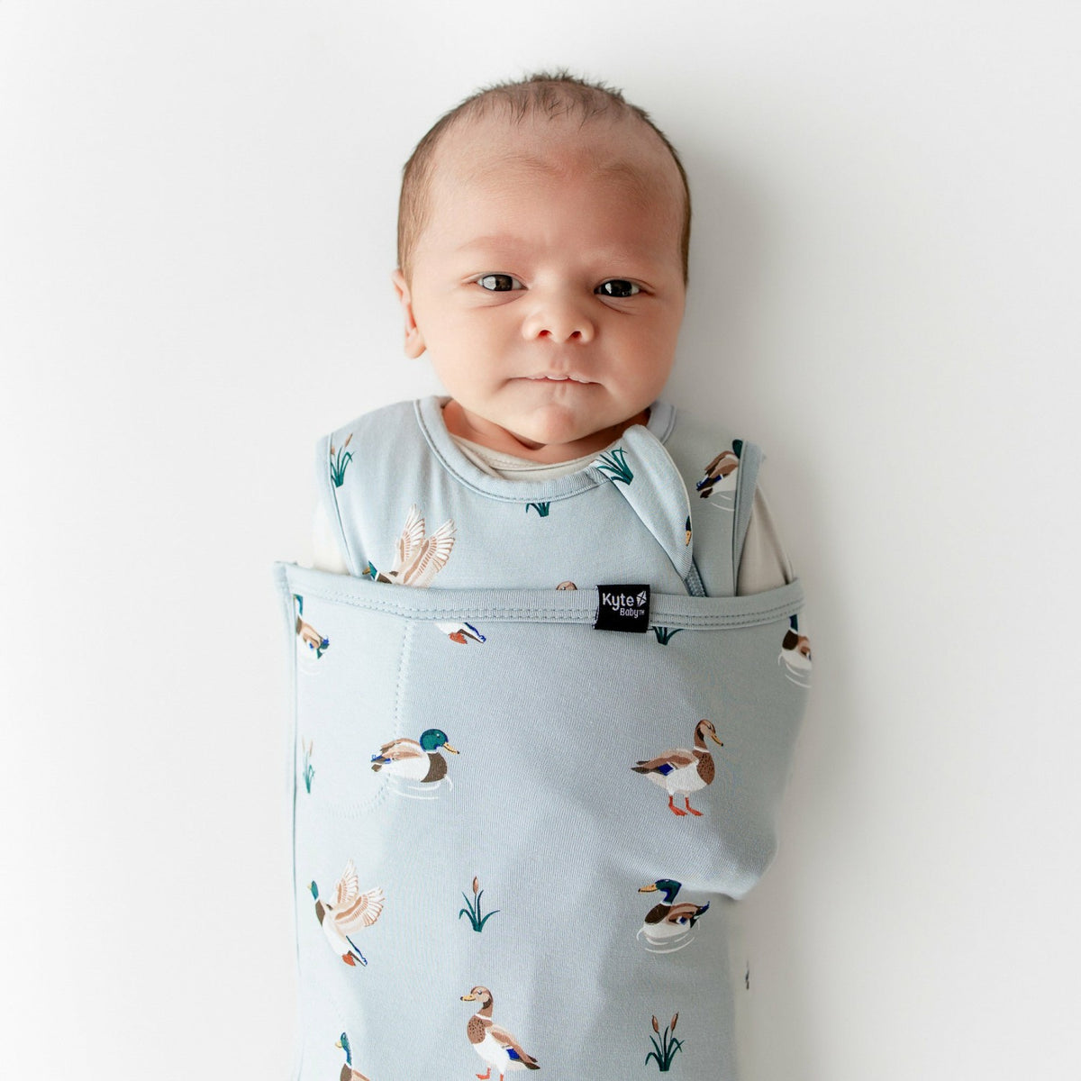 Sleep Bag Swaddler in Mallard Duck 1.0 | Kyte Baby