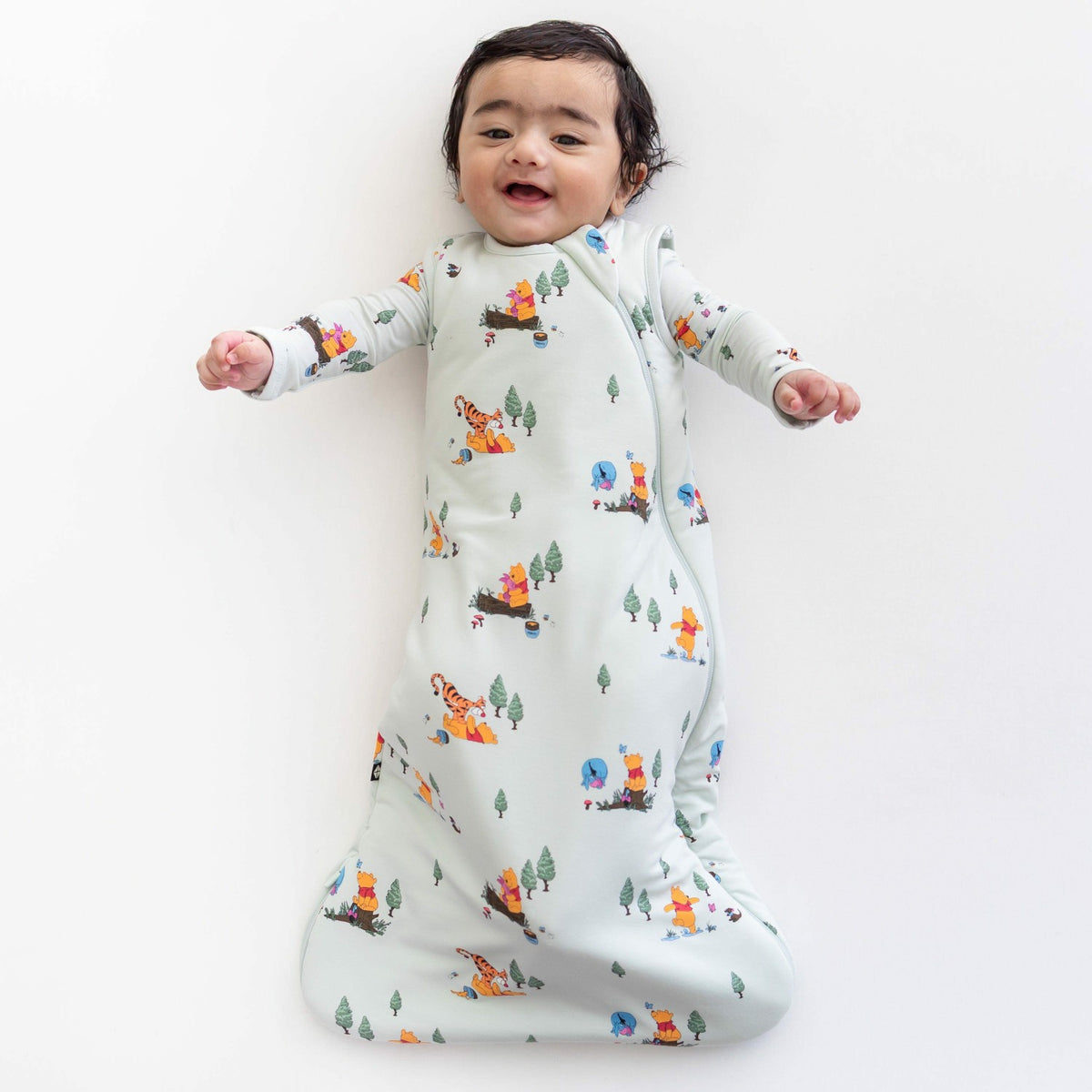 Sleep Bag in Winnie the Pooh Hundred Acre Wood 1.0 | Kyte Baby