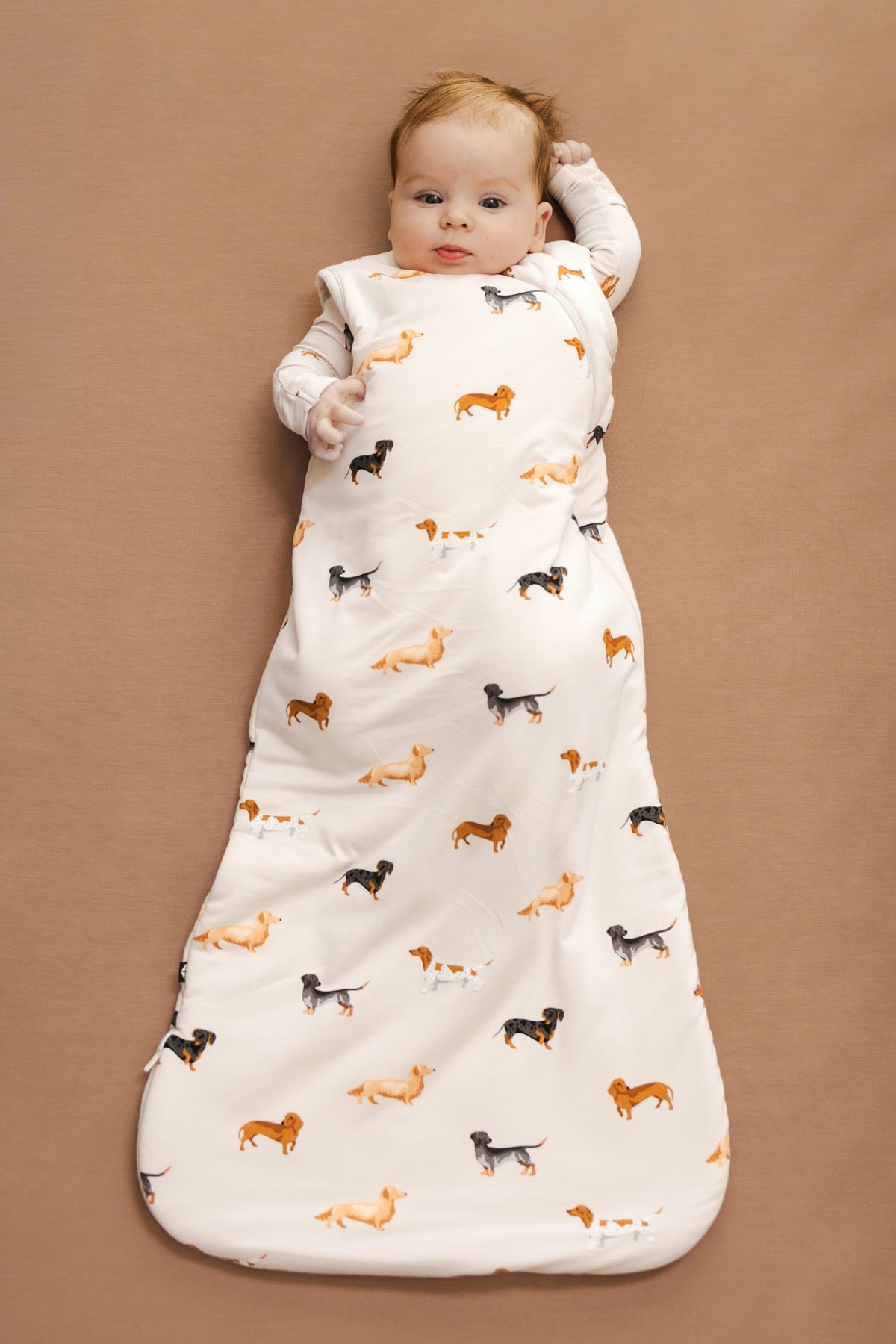 Sleep Bag in Dachshund 1.0 | Kyte Baby