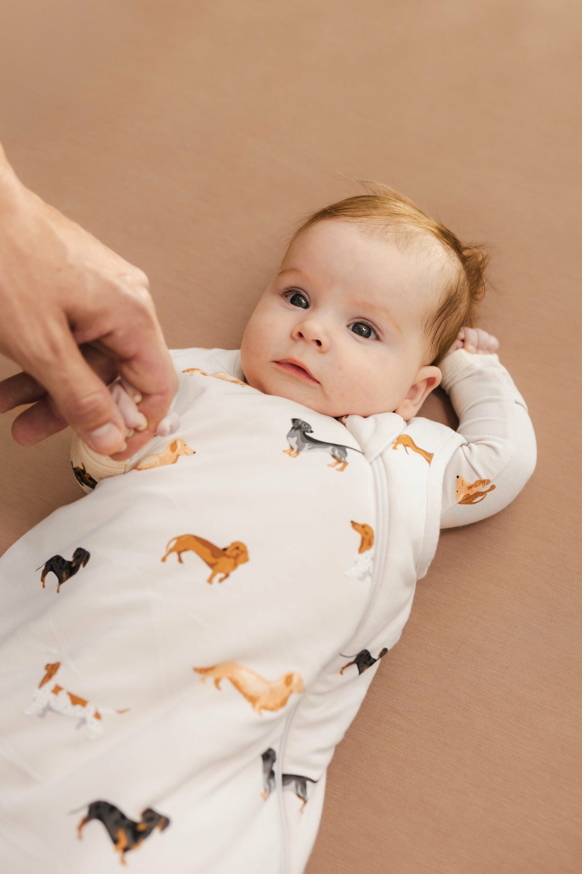 Sleep Bag in Dachshund 1.0 | Kyte Baby