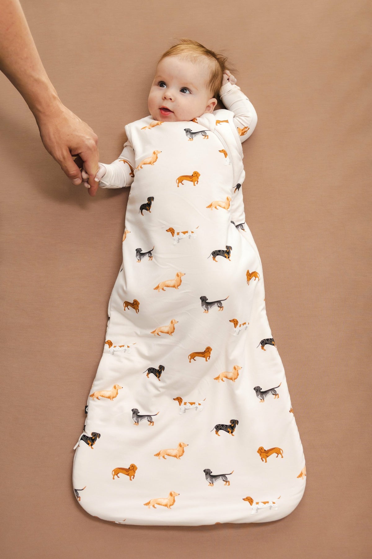 Sleep Bag in Dachshund 1.0 | Kyte Baby