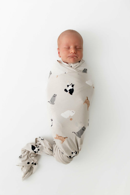 Swaddle Blanket in Fluffy Cat | Kyte Baby