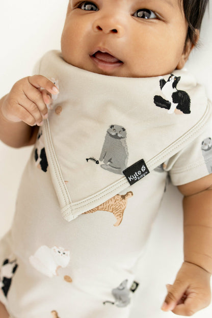 Bib in Fluffy Cat | Kyte Baby