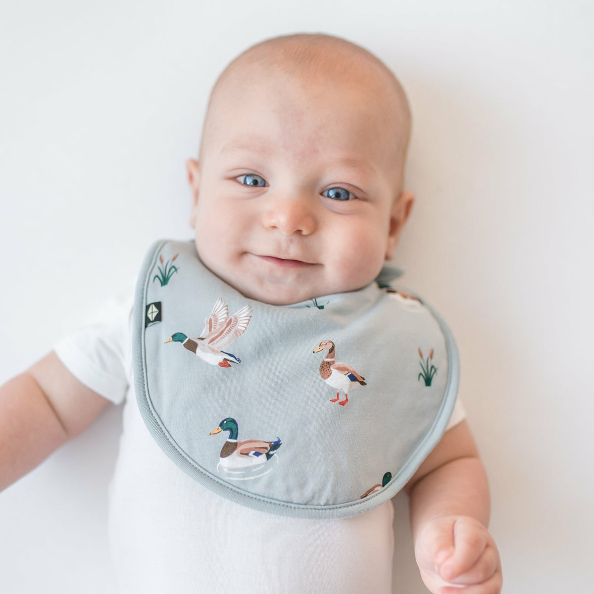 Cushy Bib in Mallard Duck | Kyte Baby