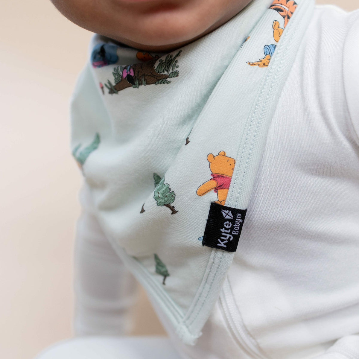 Bib in Winnie the Pooh Hundred Acre Wood | Kyte Baby