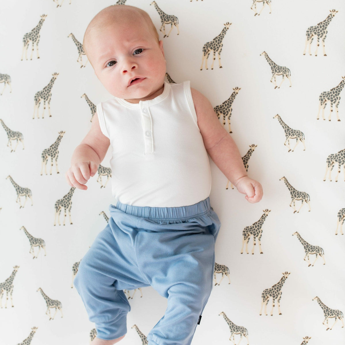 Pant in Slate | Kyte Baby