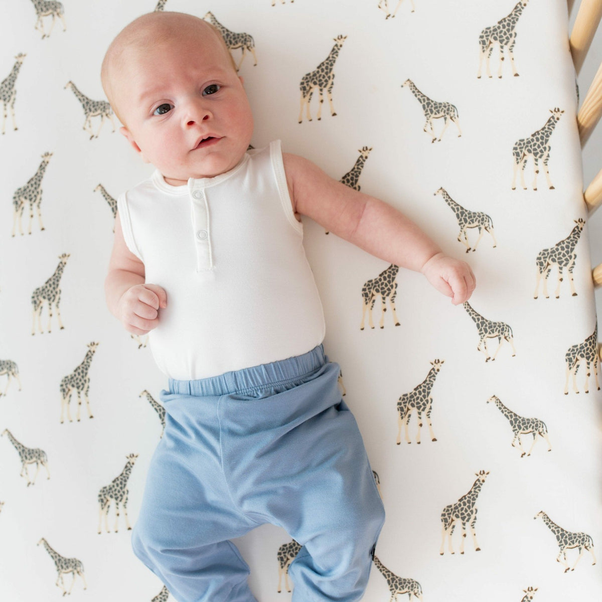 Pant in Slate | Kyte Baby