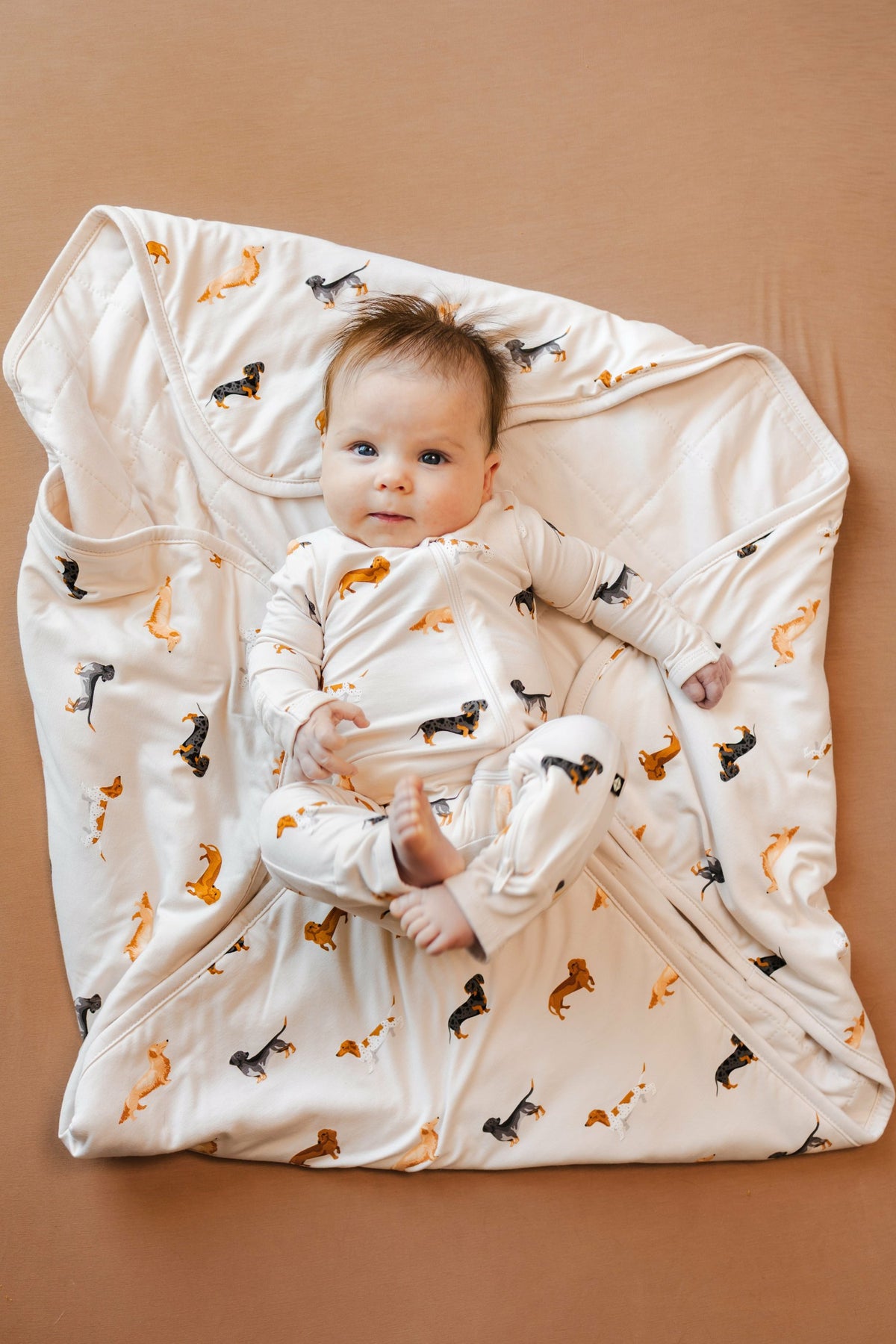 Baby Blanket in Dachshund 1.0 | Kyte Baby