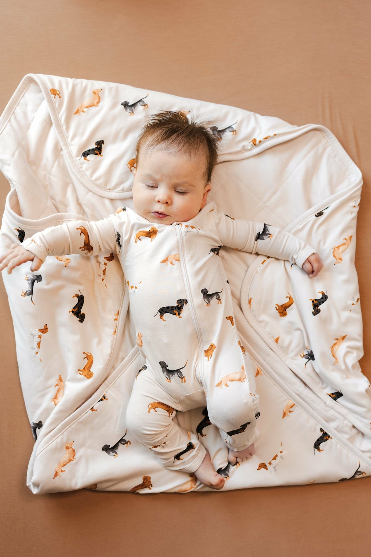Baby Blanket in Dachshund 1.0 | Kyte Baby