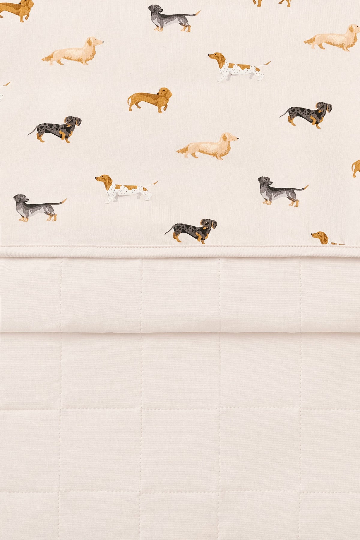 Baby Blanket in Dachshund 1.0 | Kyte Baby