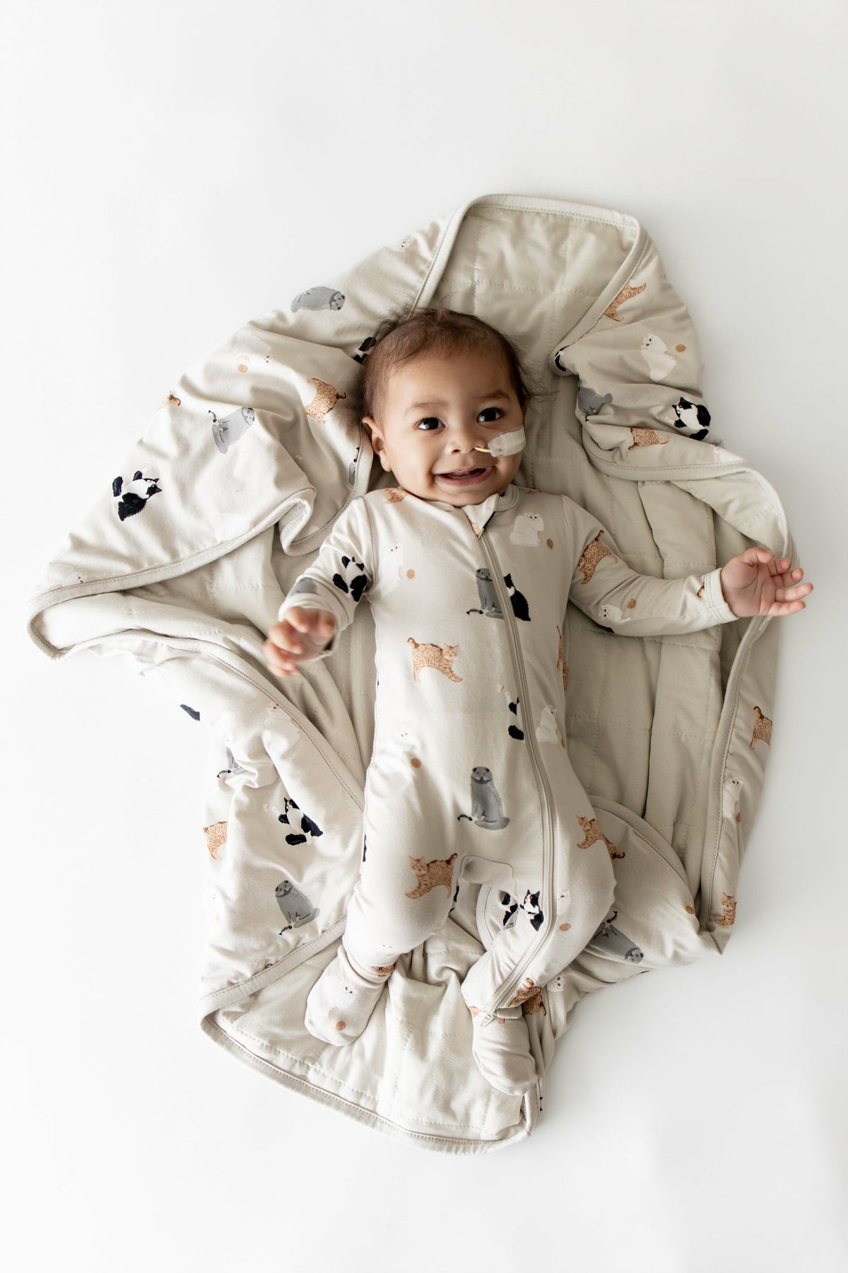 Baby Blanket in Fluffy Cat | Kyte Baby