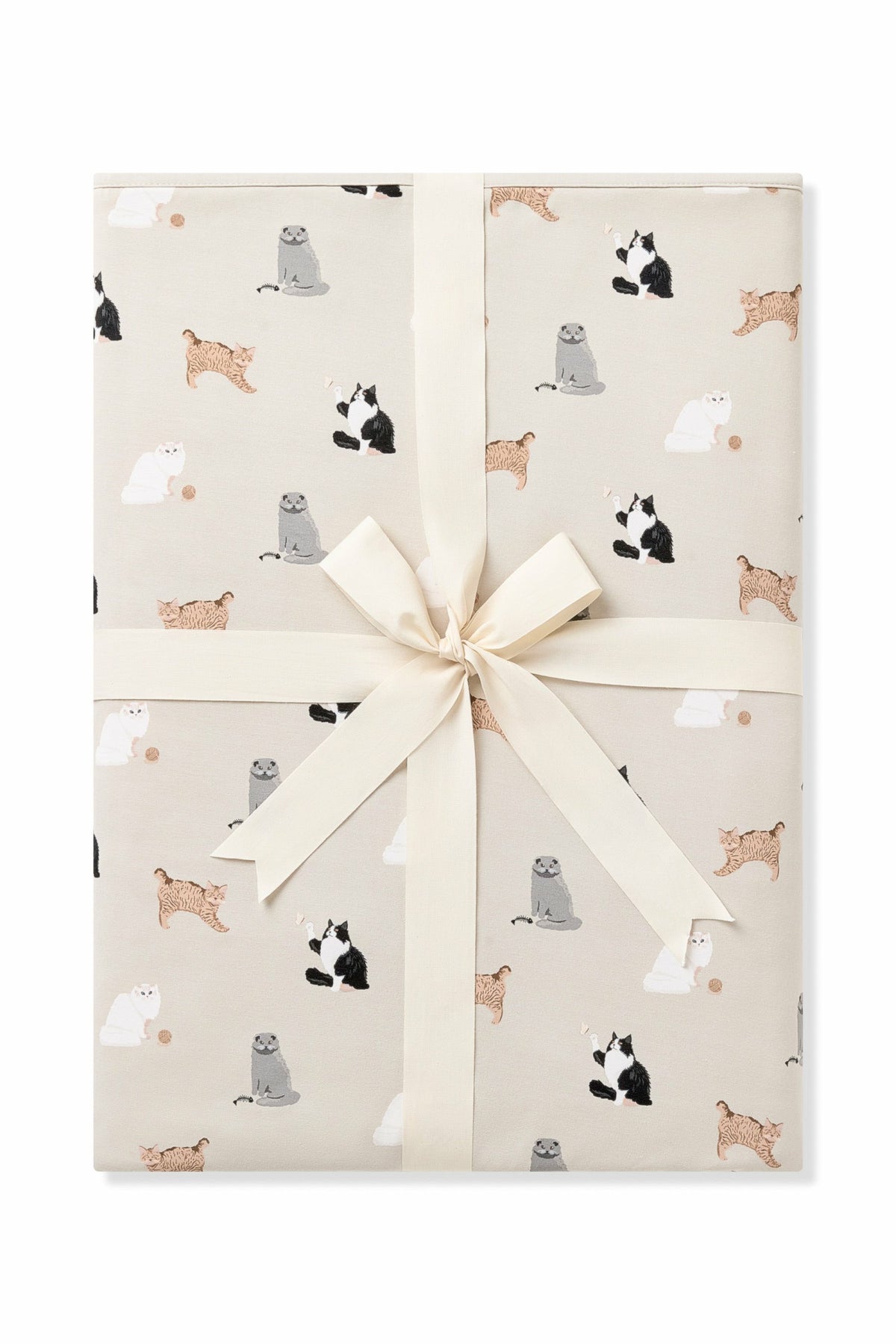 Youth Blanket in Fluffy Cat 1.0 | Kyte Baby