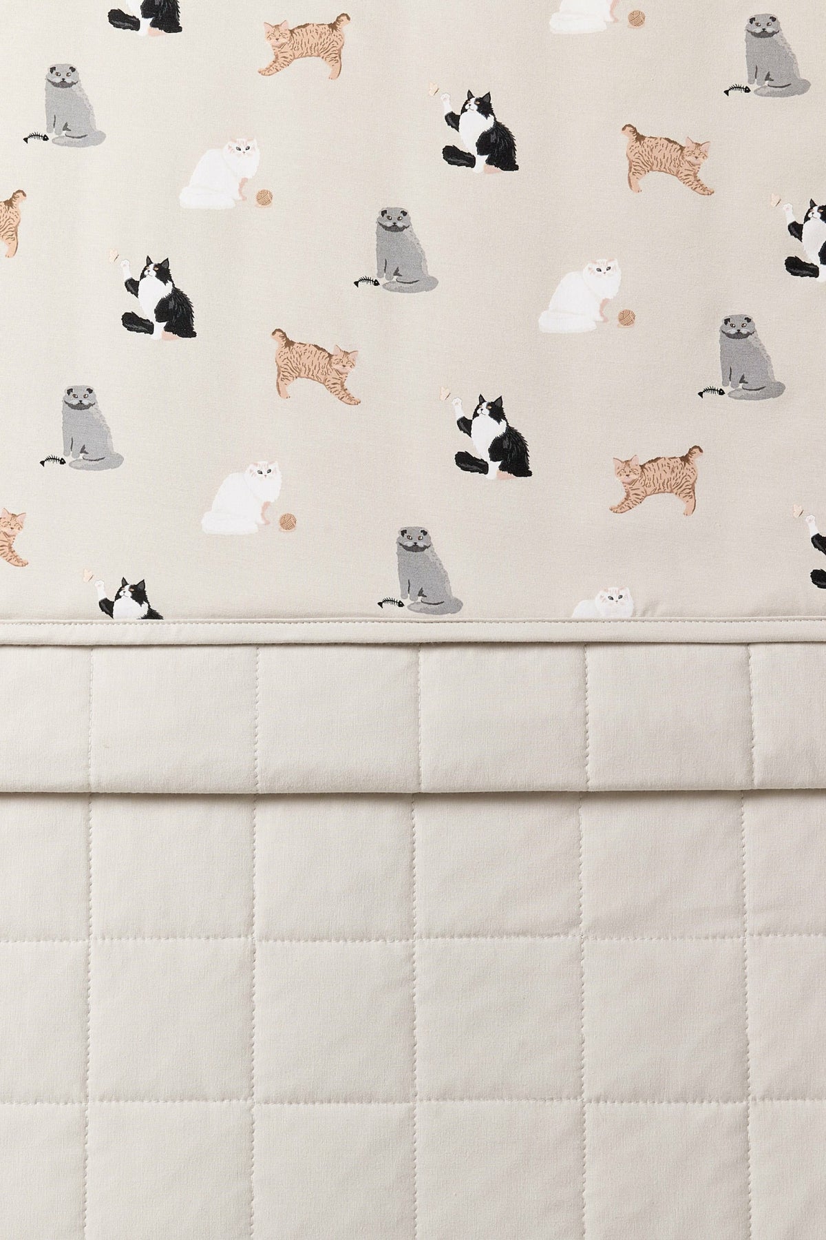 Youth Blanket in Fluffy Cat 1.0 | Kyte Baby