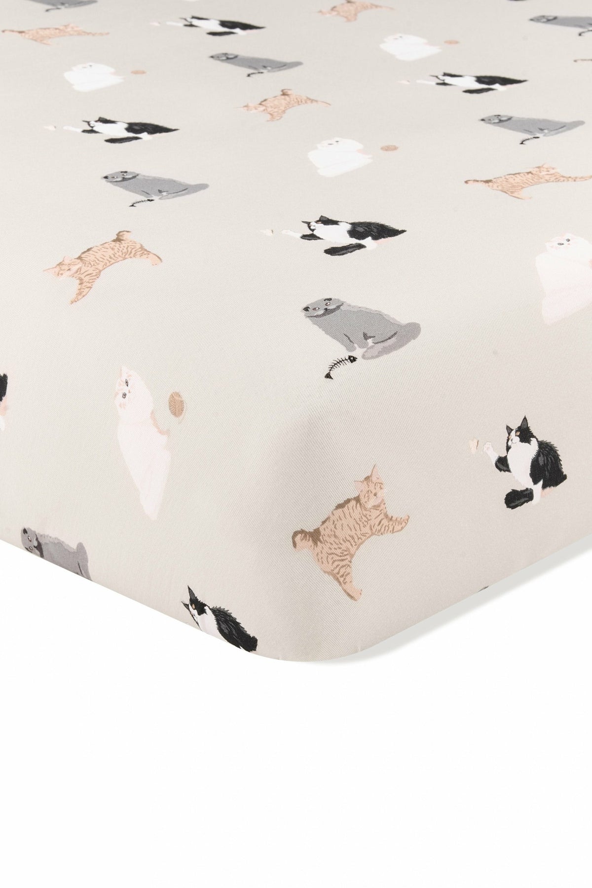 Twin Sheet in Fluffy Cat | Kyte Baby