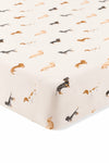 Dachshund