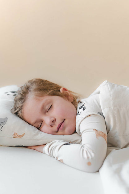 Toddler Pillowcase in Fluffy Cat | Kyte Baby