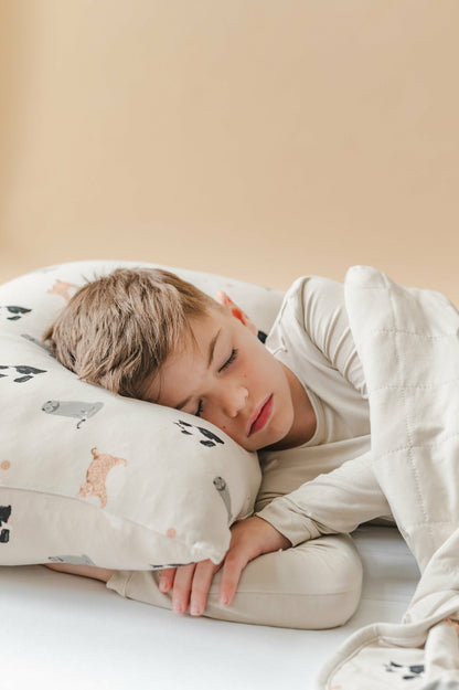 Standard Pillowcase in Fluffy Cat | Kyte Baby