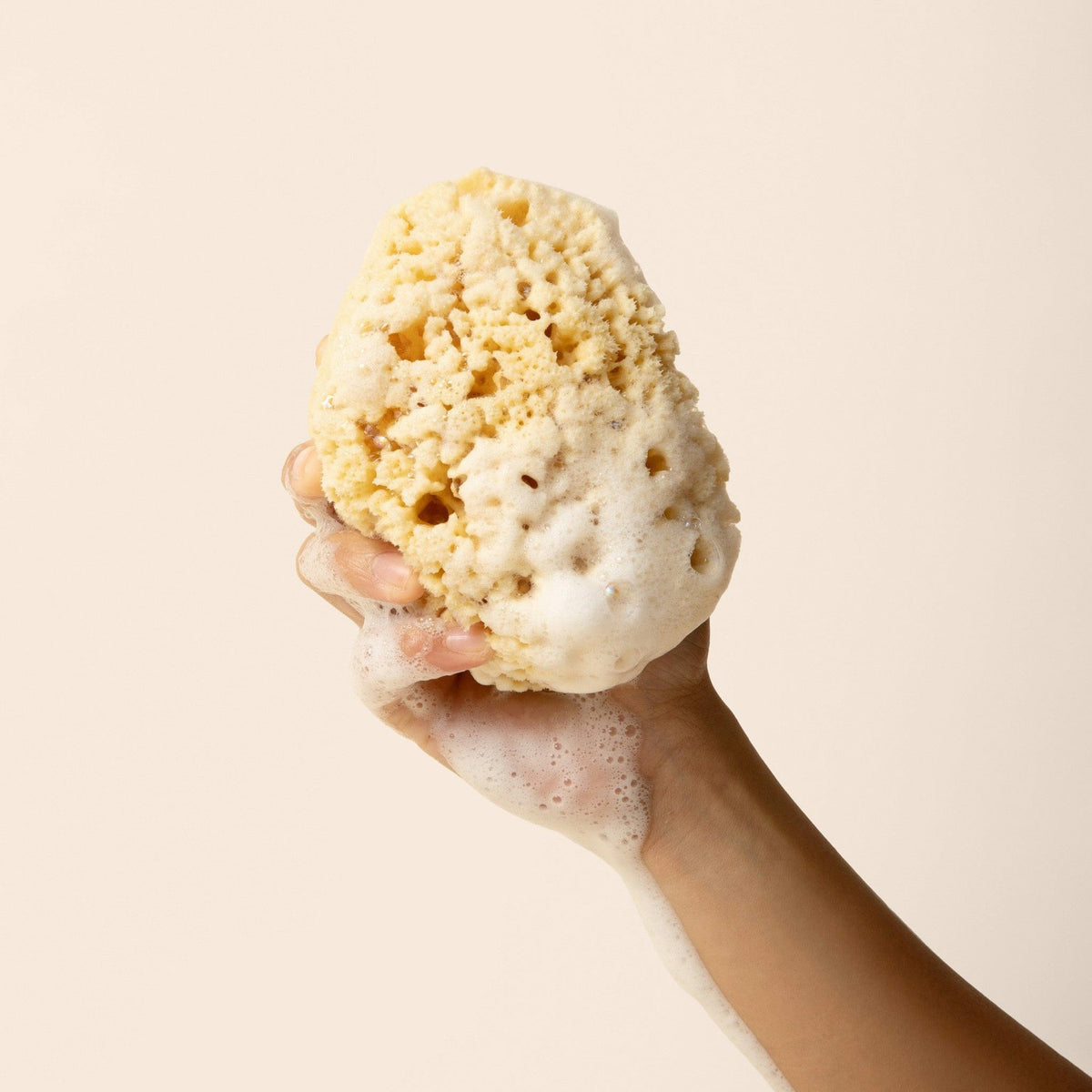 Sea Sponge | Kyte Baby