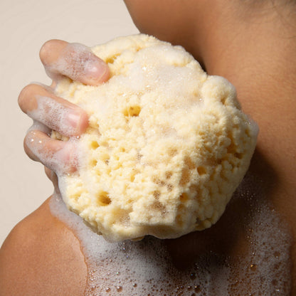 Sea Sponge | Kyte Baby