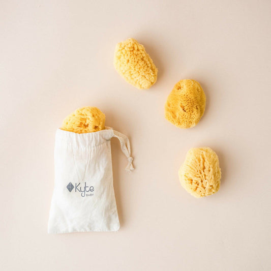 Face Sea Sponge - 4 Pack Bundle | Kyte Baby