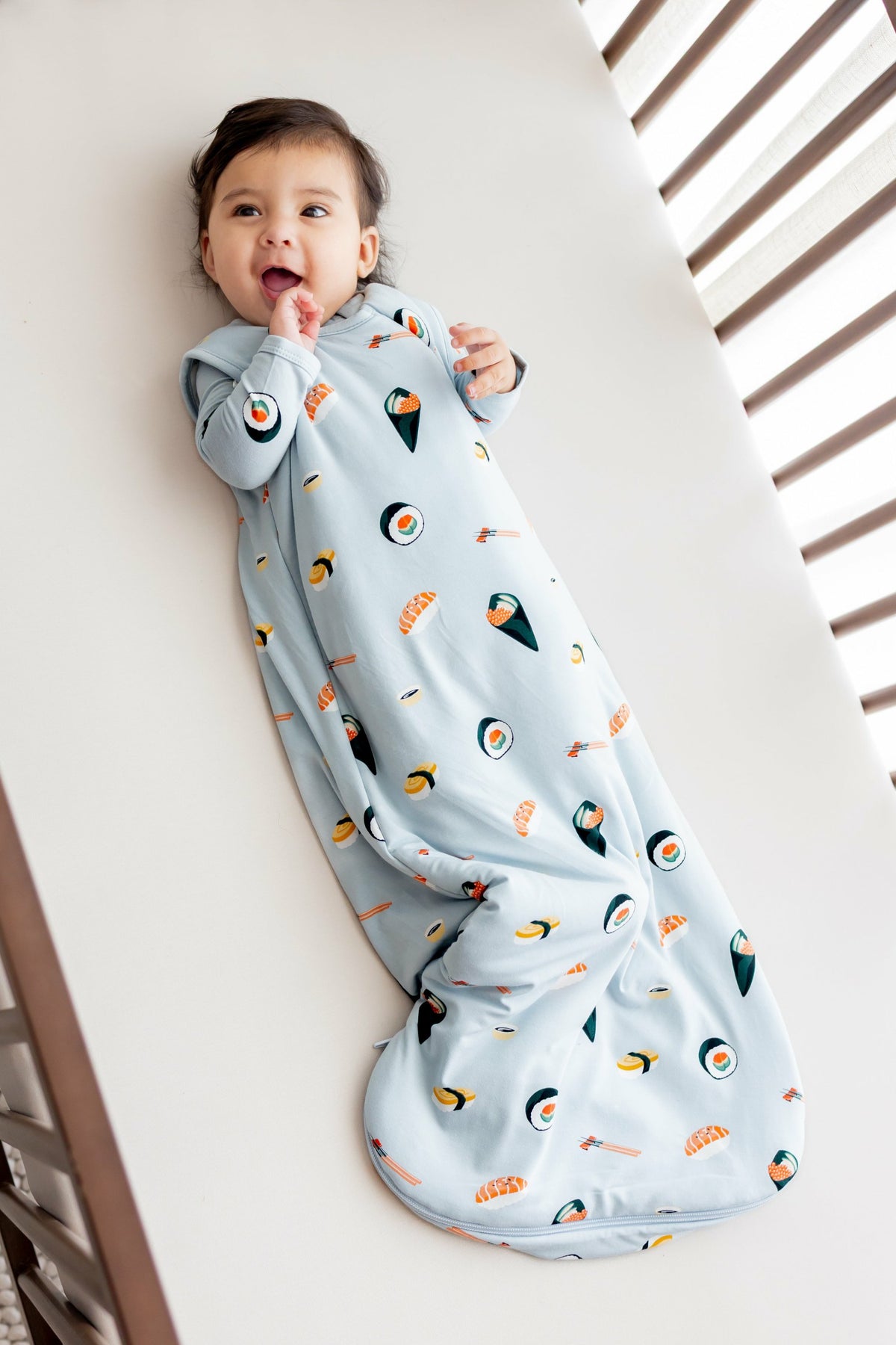 Sleep Bag in Ice Sushi 1.0 | Kyte Baby
