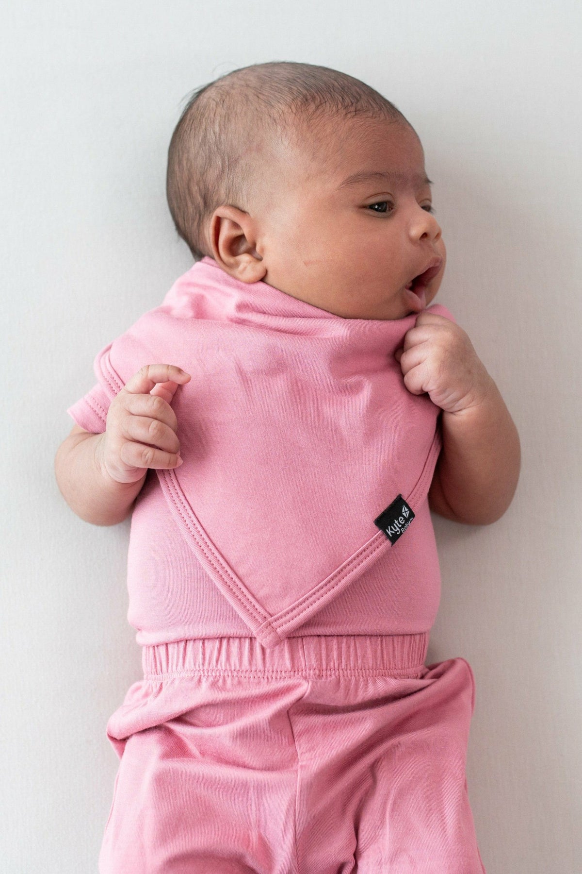 Bib in Apple Blossom | Kyte Baby