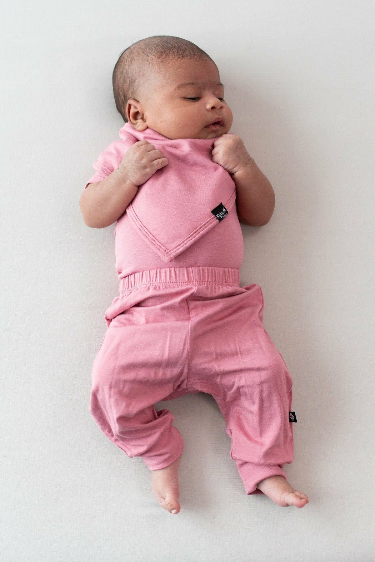 Bib in Apple Blossom | Kyte Baby