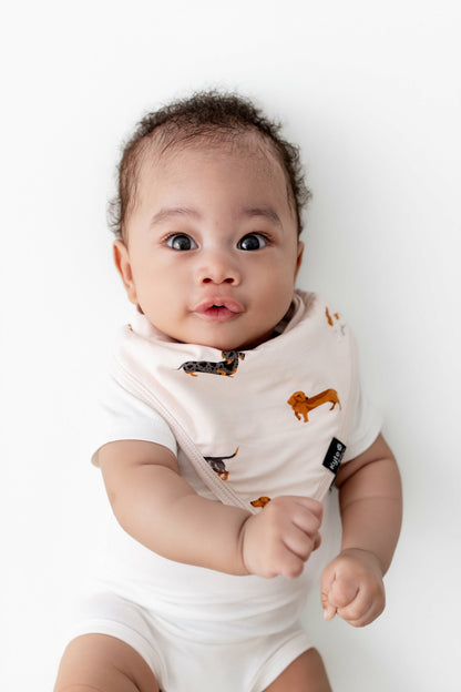 Bib in Dachshund | Kyte Baby