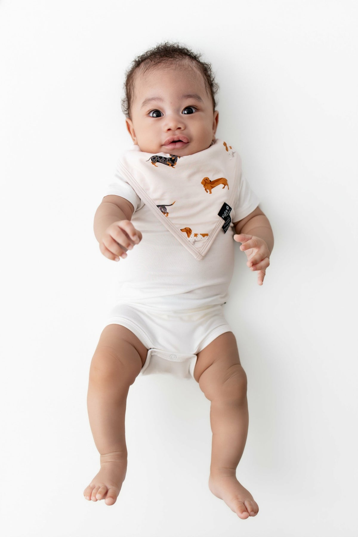 Bib in Dachshund | Kyte Baby