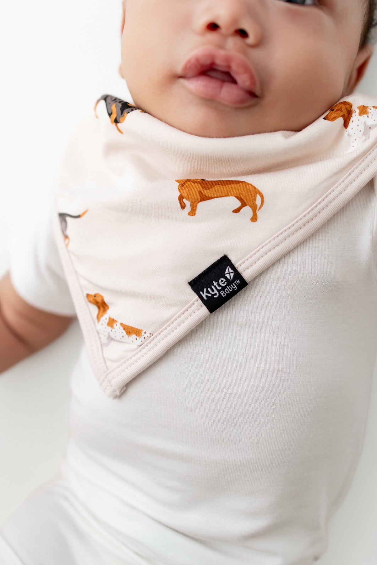 Bib in Dachshund | Kyte Baby