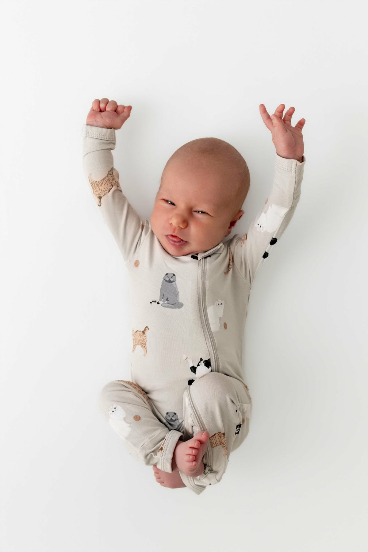 Zippered Romper in Fluffy Cat | Kyte Baby