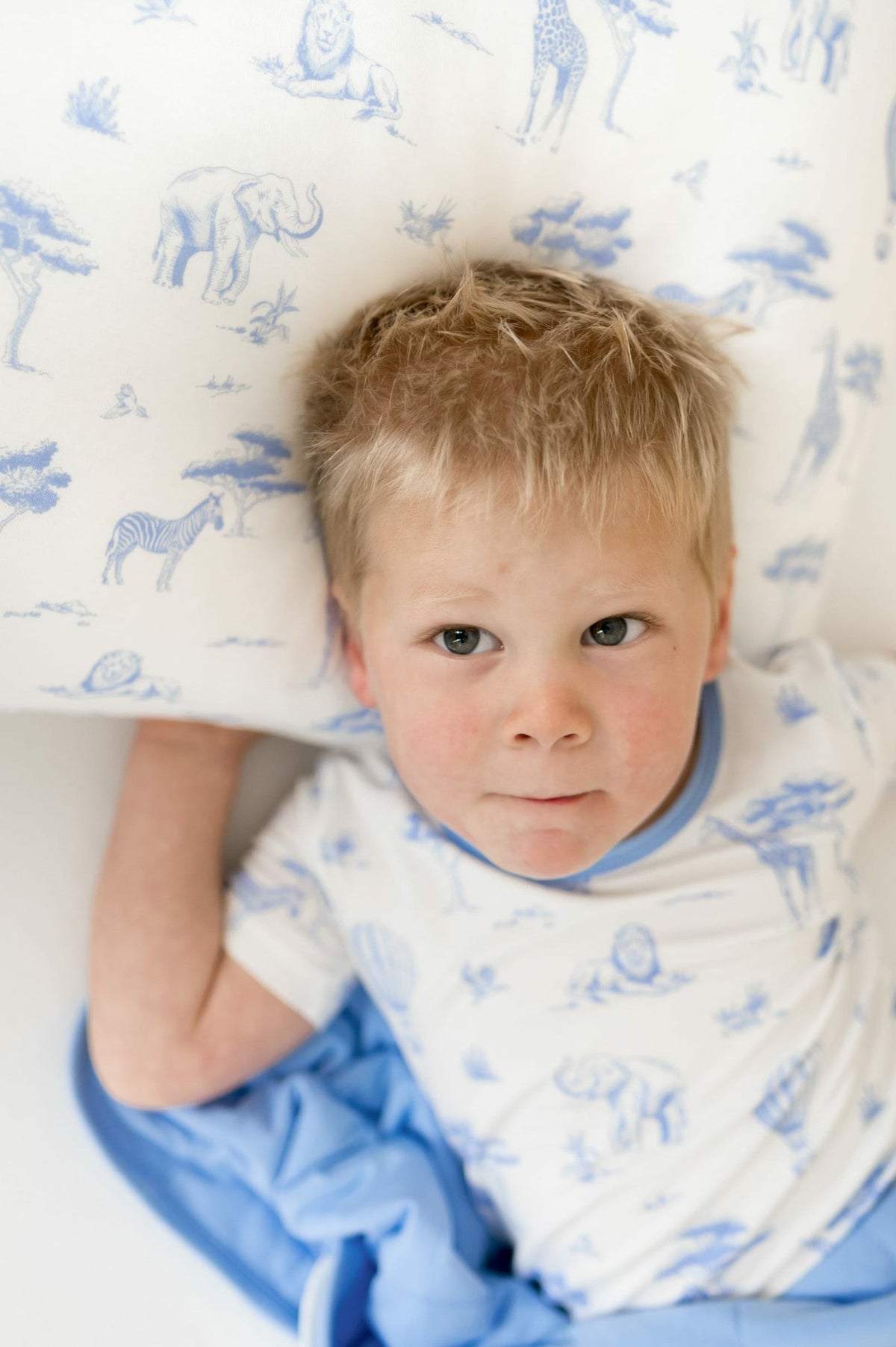 Toddler Pillowcase in Toile Safari | Kyte Baby