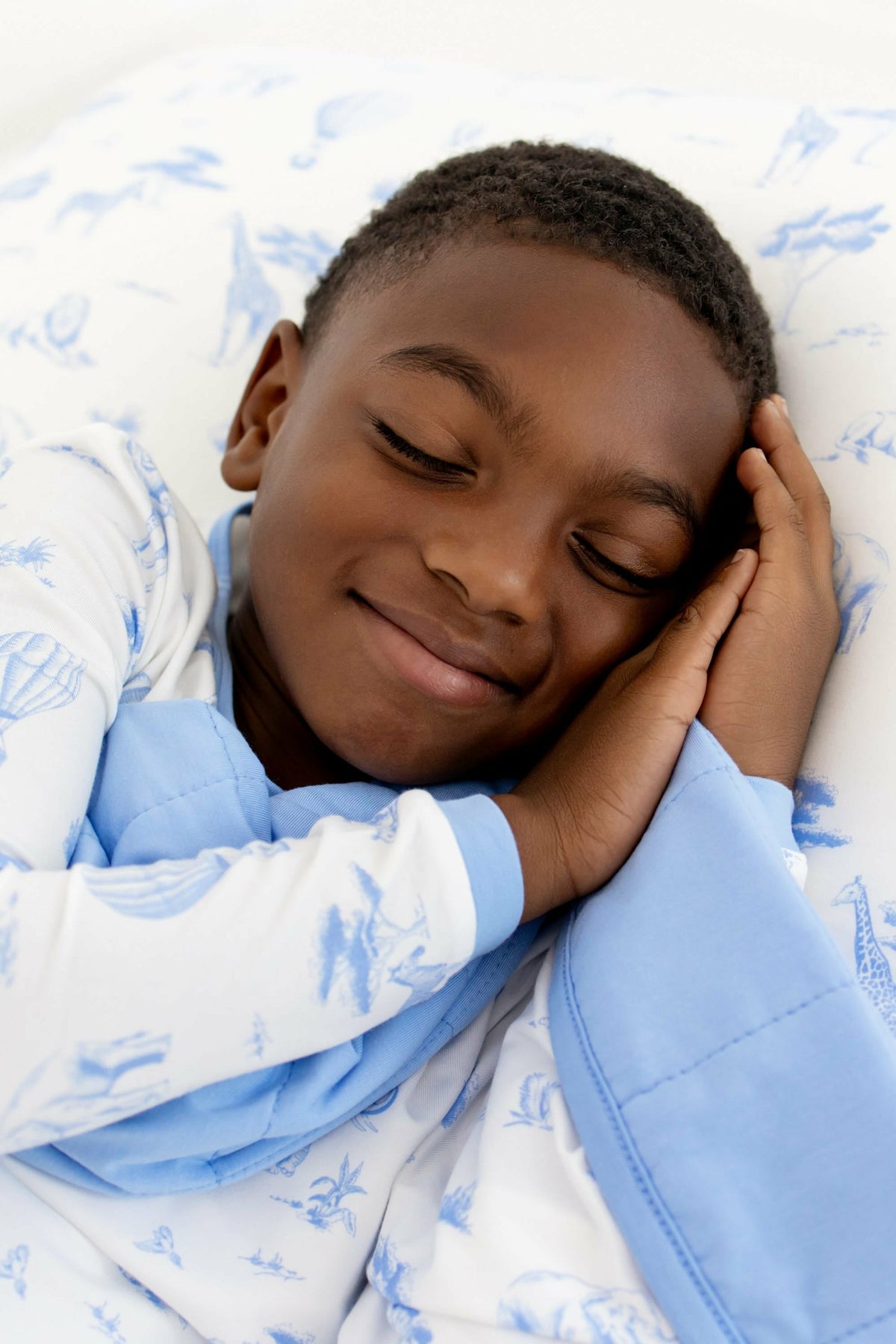 Standard Pillowcase in Toile Safari | Kyte Baby