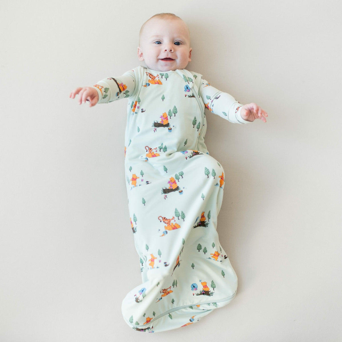 Sleep Bag in Winnie the Pooh Hundred Acre Wood 0.5 | Kyte Baby