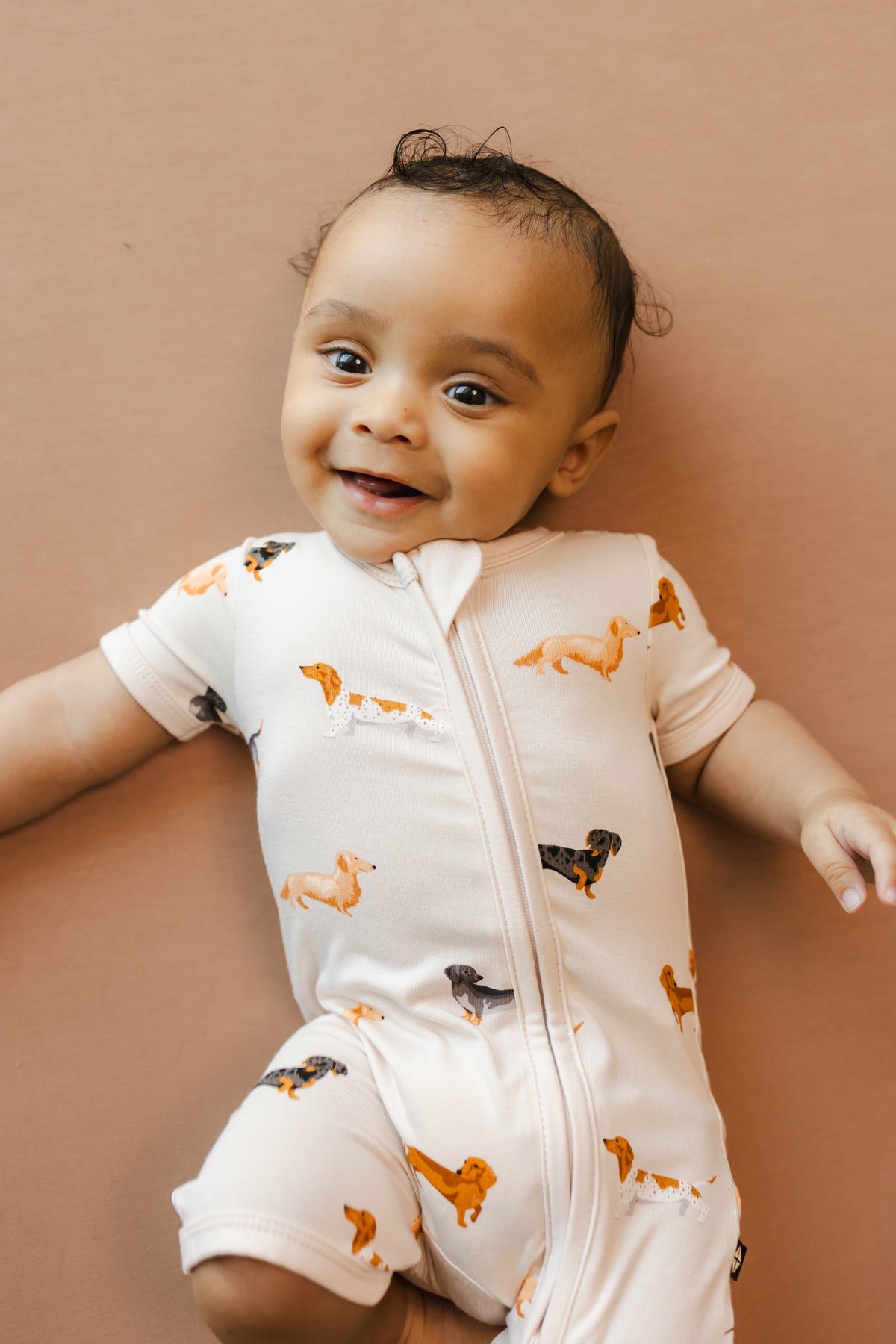 Zipper Shortall Romper in Dachshund | Kyte Baby