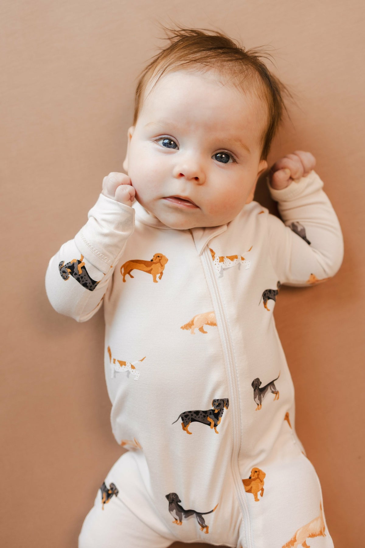 Zippered Romper in Dachshund | Kyte Baby
