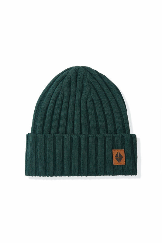 Chunky Knit Ribbed Beanie in Cypress | Kyte Baby